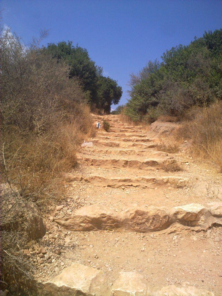 נחל צלמון ועין צלמון