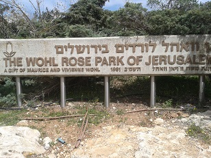 גן הורדים בירושלים