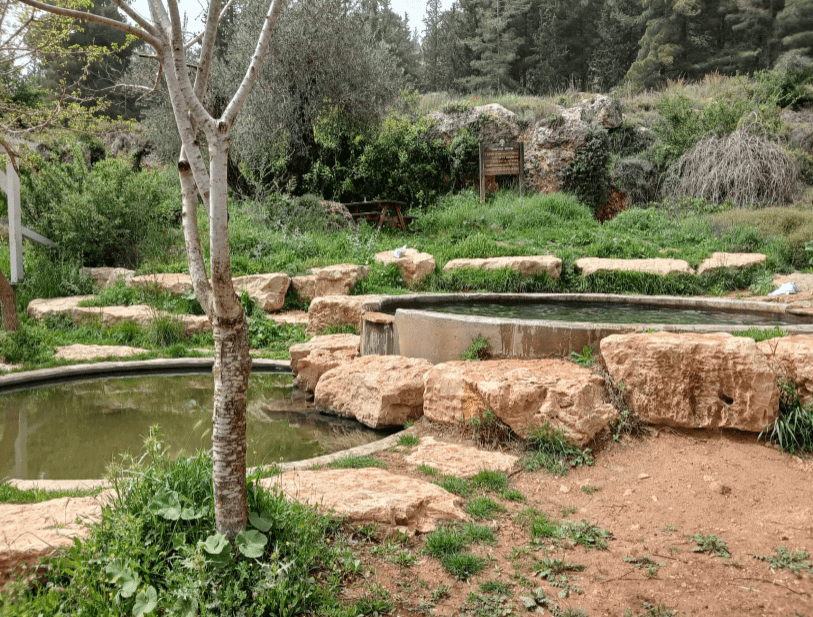 מעיין הגבורה