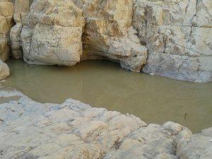 גב קינה ונחל קינה