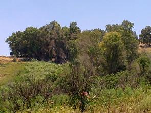 עין ג'ילבון