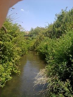 עין ג'ילבון