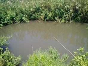 עין ג'ילבון