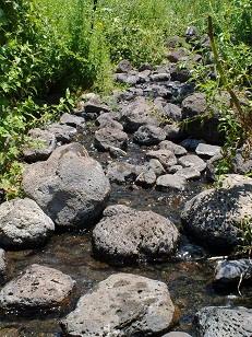 עין ג'ילבון
