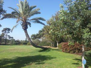 מצומת שפיה לחוף האקוודוקט בקיסריהעל שביל ישראל