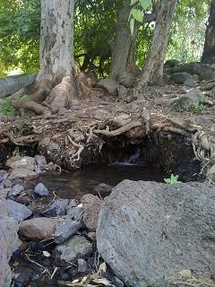 עין ג'ילבון