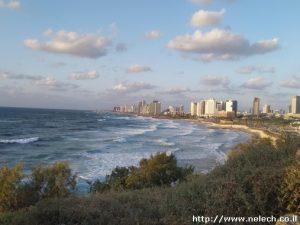 סיור ביפו העתיקה