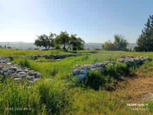 עזבת צ'רטה אבן העזר