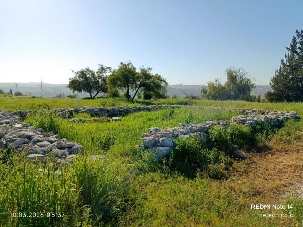 עזבת צ'רטה אבן העזר