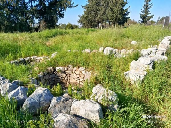 עזבת צ'רטה אבן העזר