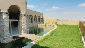 עין קשתות מיצד