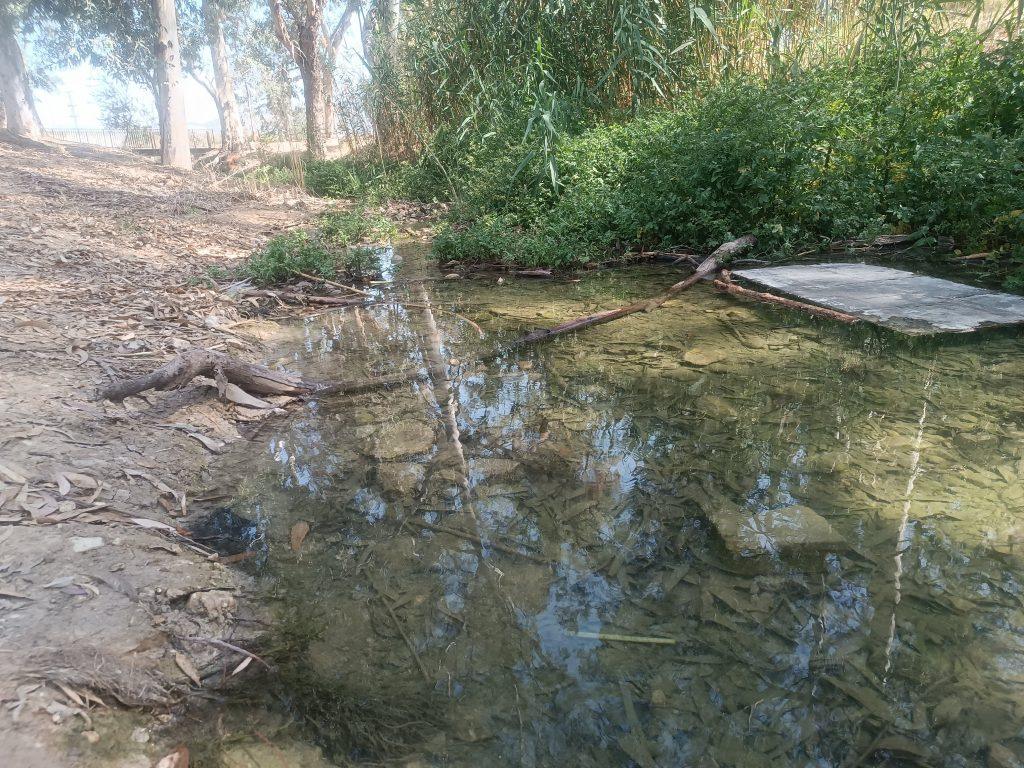 פארק המעיינות אורי וישעי