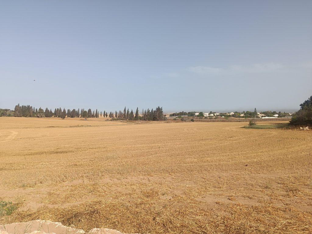 אנדרטת כתב ושם בכפר עזה