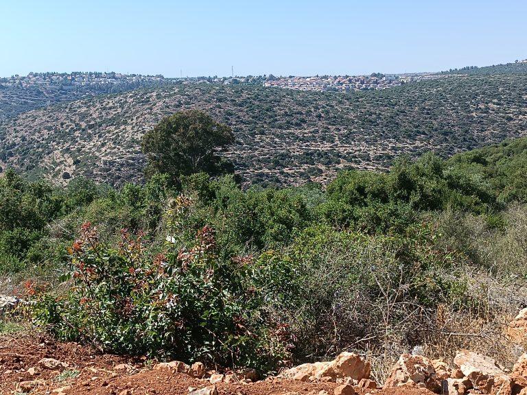 עין גבריאל ביקיר