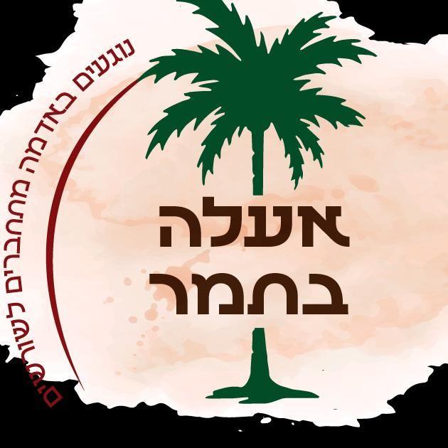 סדנת חץ וקשת אעלה בתמר