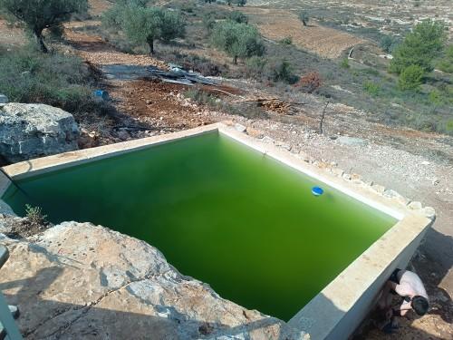 עין החמישה ליד שדה אפרים