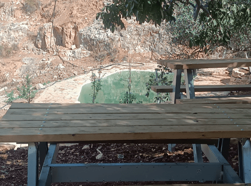 עין אל ינבוע עיינות יהודה