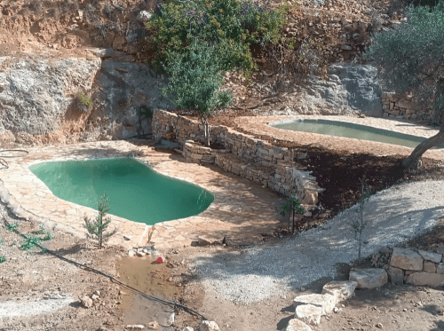 עין אל ינבוע עיינות יהודה