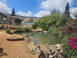 המעיין הכורדי בקריית שמונה