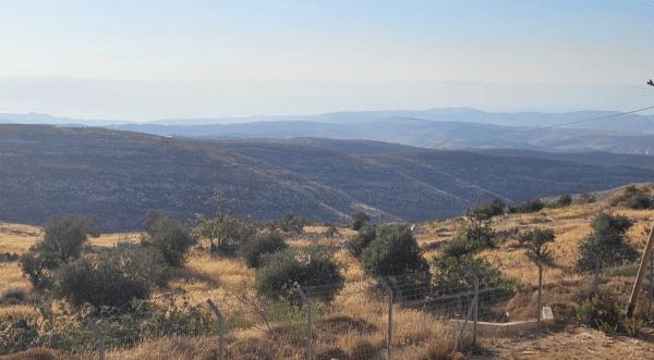 צימר שירת הציפורים מיצד