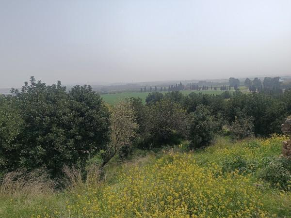 תל קקון