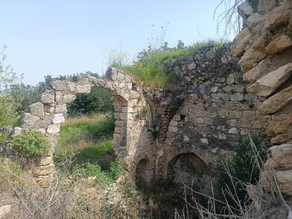 תל קקון
