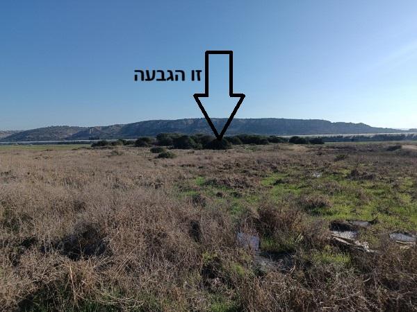 גבעת האשחרים