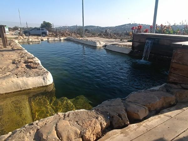 בריכת הגבורה אלון שבות