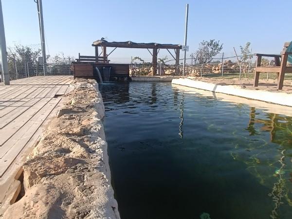 בריכת הגבורה אלון שבות