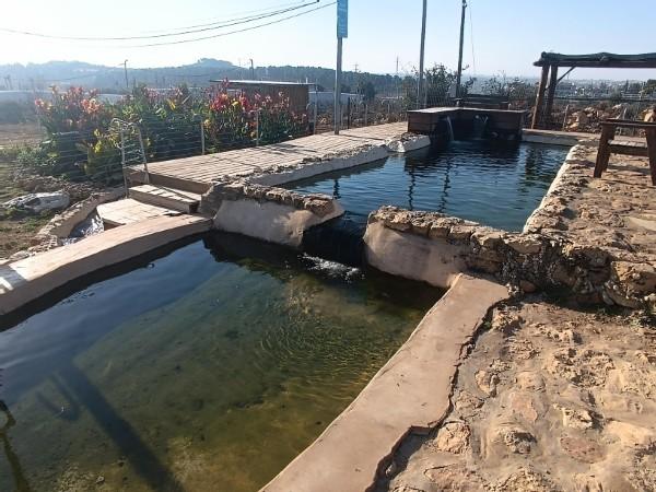 בריכת הגבורה אלון שבות