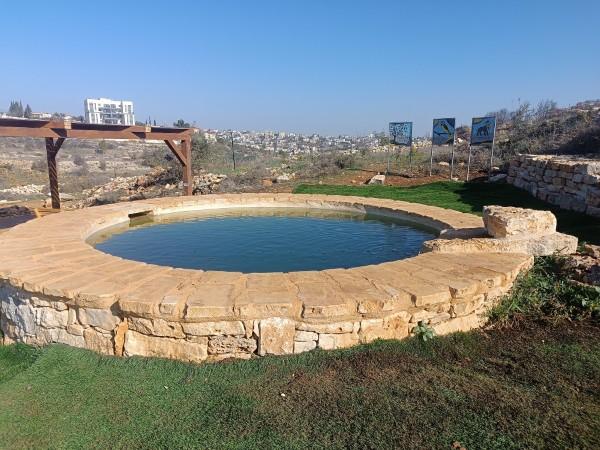 מעיין הבנים בכרמי צור