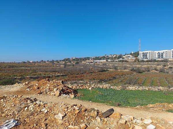 מעיין הבנים בכרמי צור