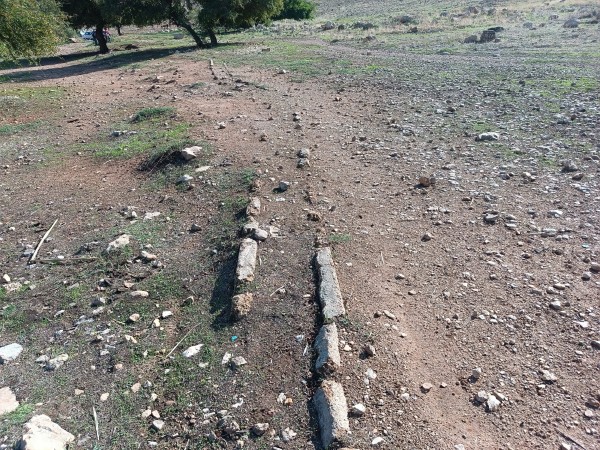 עיינות פצאל