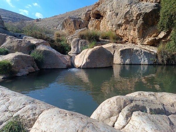 עיינות פצאל