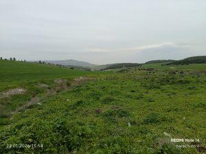 מסלול מעגלי רמות מנשה