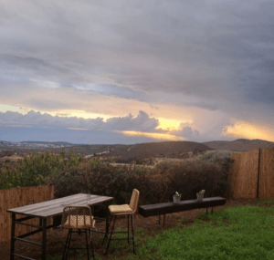 תימר תומר דבורה כרם בן דבורה