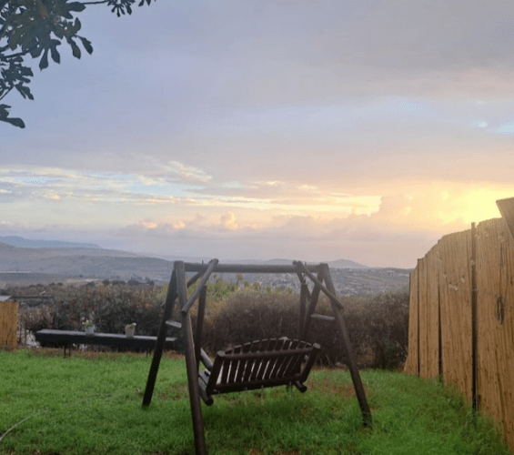 תימר תומר דבורה כרם בן דבורה