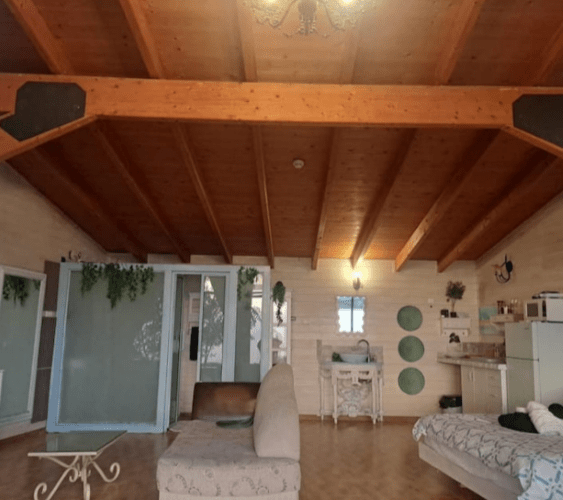 תימר תומר דבורה כרם בן דבורה