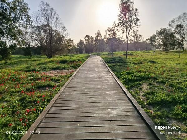 שבי ל הנגב המערבי