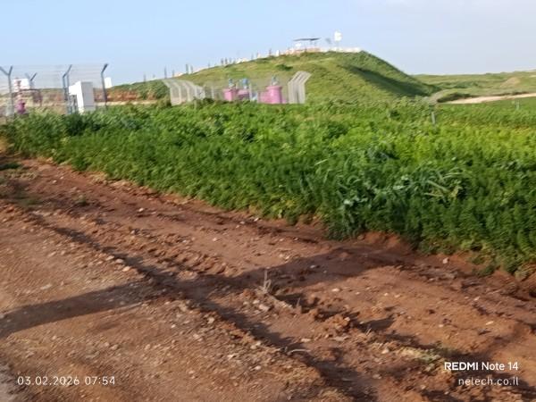 שבי ל הנגב המערבי