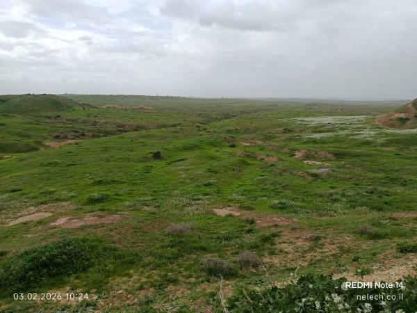 שבי ל הנגב המערבי