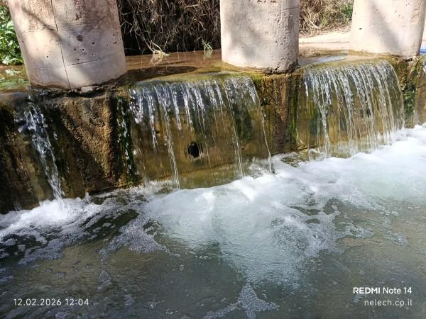 חורשת גדעון המפלון