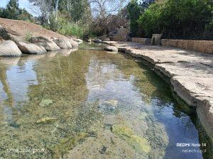 חורשת גדעון הבריכה הגדולה