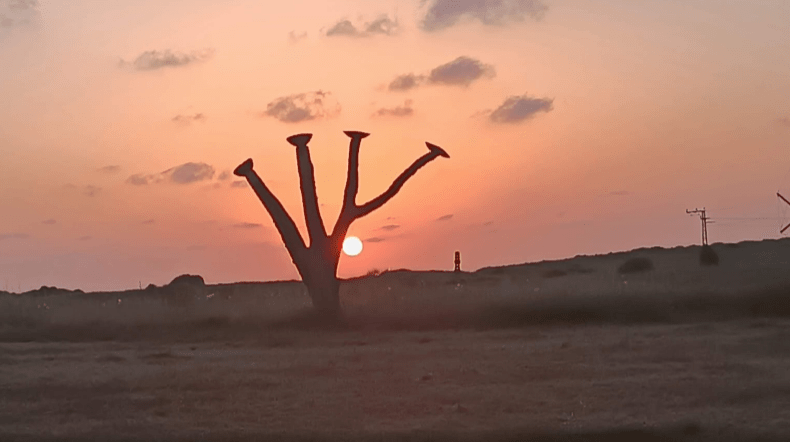 שקיעה פארק דינה ארסוף