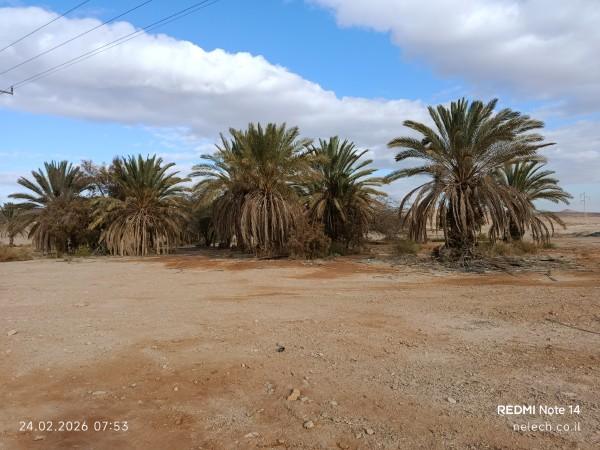 מצומת שיזפון לשחרות על שביל ישראל