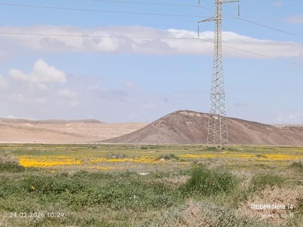 מצומת שיזפון לשחרות על שביל ישראל