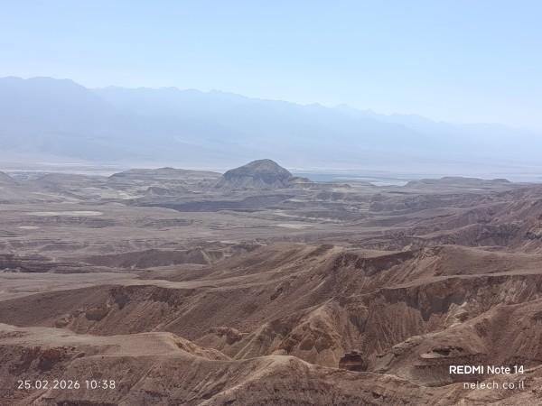 משחרות לפארק תמנע