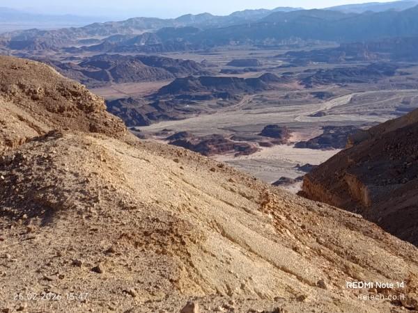 משחרות לפארק תמנע