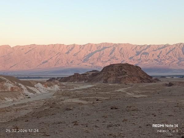 משחרות לפארק תמנע