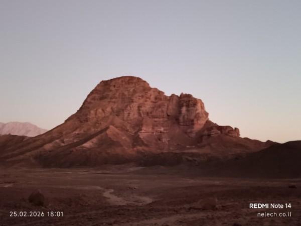 משחרות לפארק תמנע
